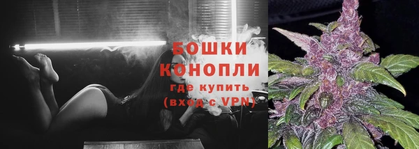 mdpv Бородино