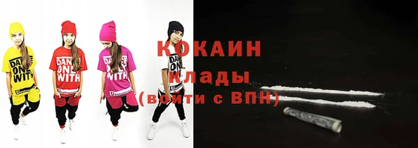 mdpv Бородино