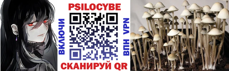 Псилоцибиновые грибы MAGIC MUSHROOMS  Бородино 