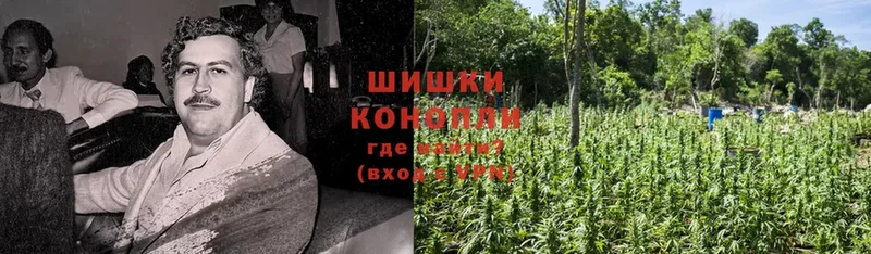 купить   Бородино  Шишки марихуана OG Kush 